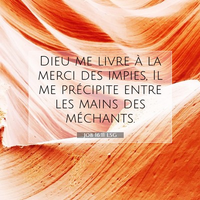 Job 16:11 Verset biblique expliqué