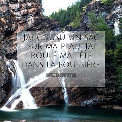 Job 16:15 LSG Image du verset biblique