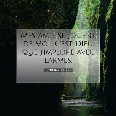 Job 16:20 LSG Image du verset biblique