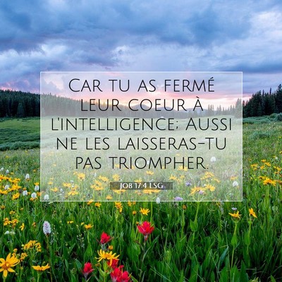 Job 17:4 LSG Image du verset biblique