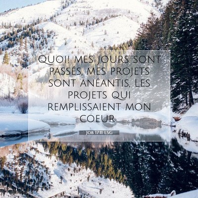 Job 17:11 LSG Image du verset biblique