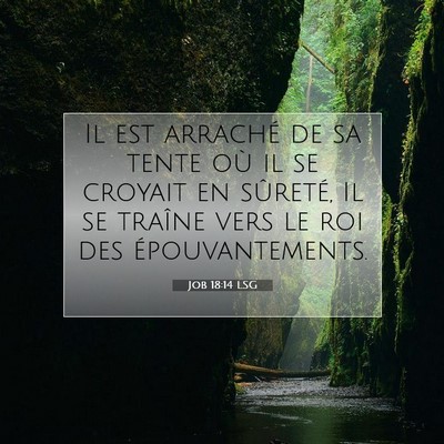 Job 18:14 LSG Image du verset biblique