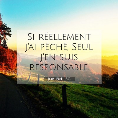 Job 19:4 Verset biblique expliqué