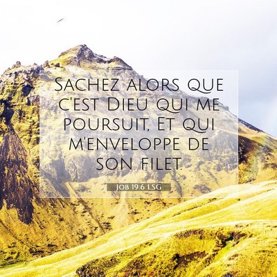 Job 19:6 LSG Image du verset biblique