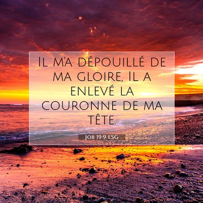 Job 19:9 LSG Image du verset biblique