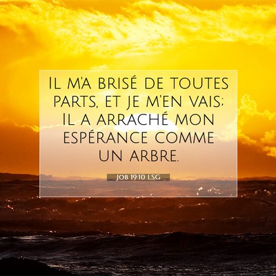 Job 19:10 LSG Image du verset biblique