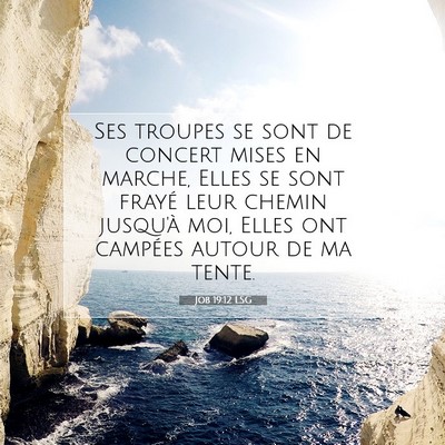 Job 19:12 Verset biblique expliqué