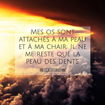 Job 19:20 LSG Image du verset biblique