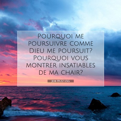 Job 19:22 Verset biblique expliqué