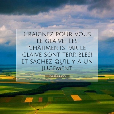 Job 19:29 LSG Image du verset biblique