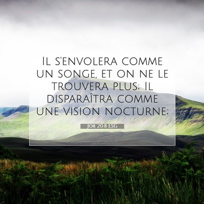 Job 20:8 LSG Image du verset biblique