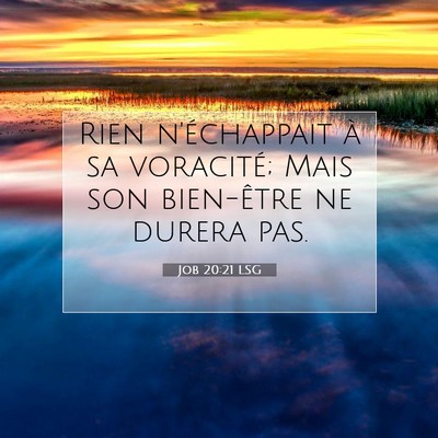 Job 20:21 Verset biblique expliqué