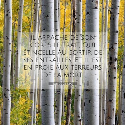 Job 20:25 Verset biblique expliqué