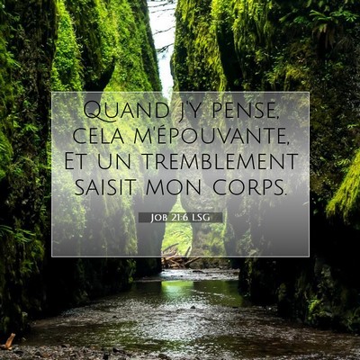 Job 21:6 LSG Image du verset biblique