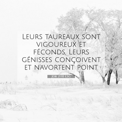 Job 21:10 LSG Image du verset biblique