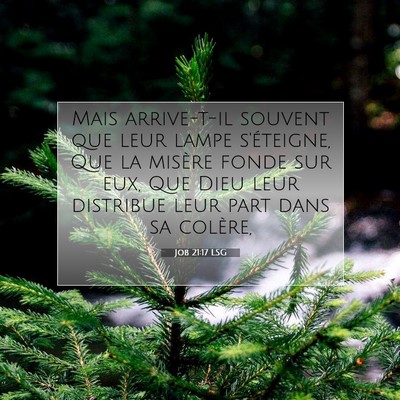 Job 21:17 Verset biblique expliqué