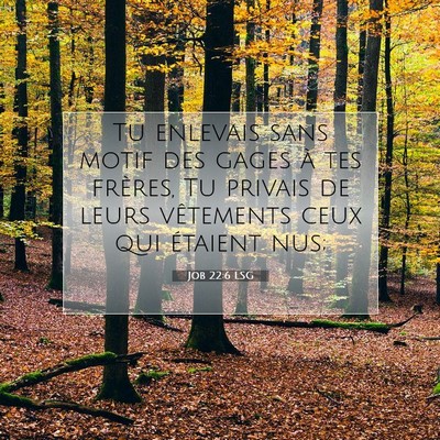 Job 22:6 LSG Image du verset biblique