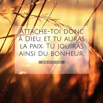 Job 22:21 LSG Image du verset biblique