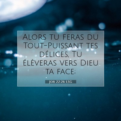 Job 22:26 LSG Image du verset biblique