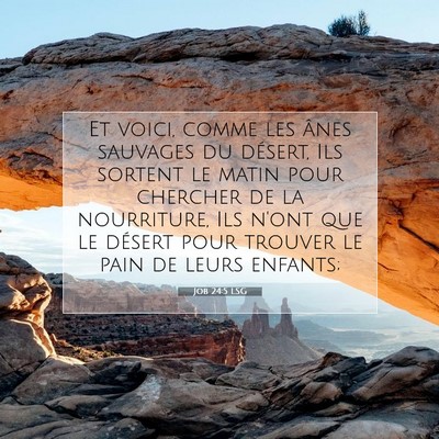 Job 24:5 LSG Image du verset biblique