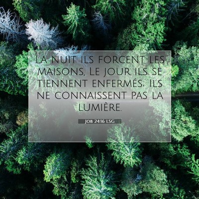 Job 24:16 Verset biblique expliqué