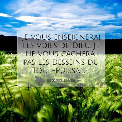 Job 27:11 Verset biblique expliqué