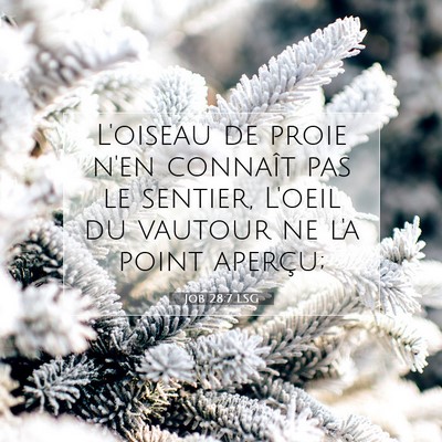 Job 28:7 LSG Image du verset biblique