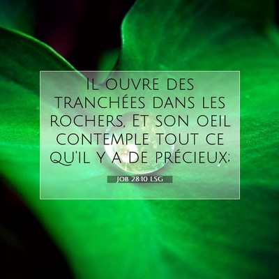 Job 28:10 Verset biblique expliqué