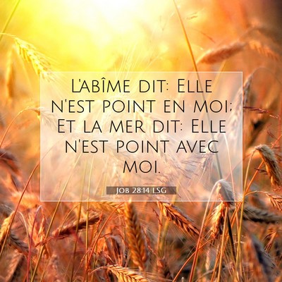 Job 28:14 Verset biblique expliqué