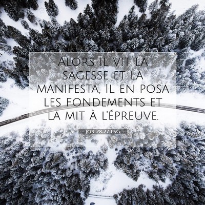 Job 28:27 Verset biblique expliqué