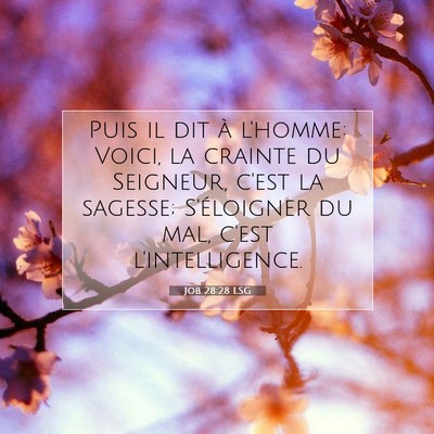 Job 28:28 Verset biblique expliqué