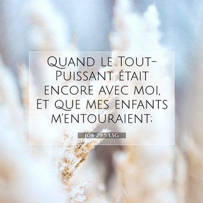 Job 29:5 Verset biblique expliqué