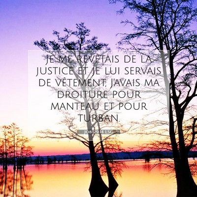 Job 29:14 LSG Image du verset biblique