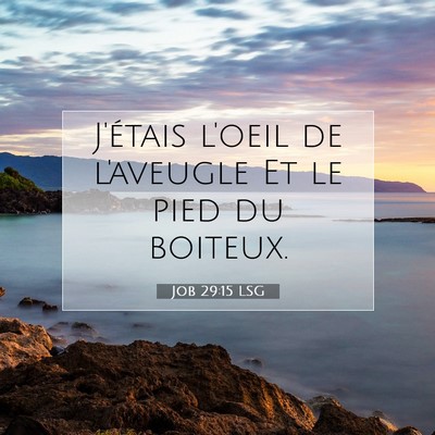 Job 29:15 Verset biblique expliqué