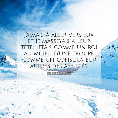 Job 29:25 Verset biblique expliqué