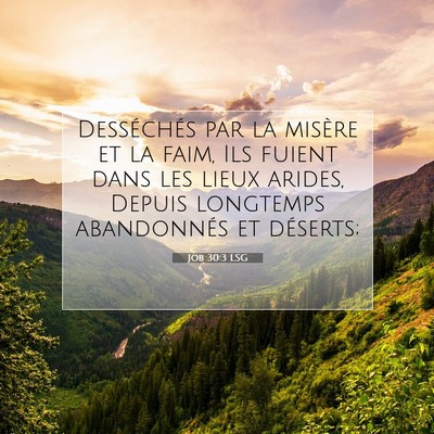 Job 30:3 LSG Image du verset biblique