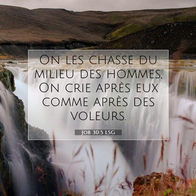 Job 30:5 Verset biblique expliqué