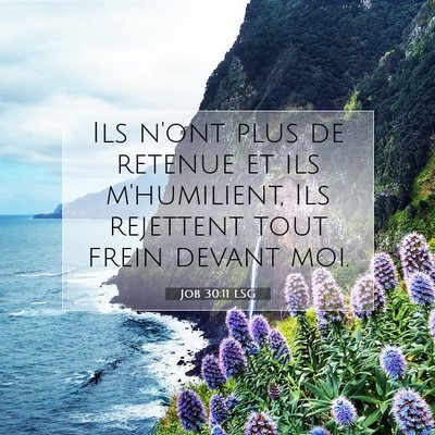 Job 30:11 Verset biblique expliqué