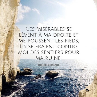 Job 30:12 LSG Image du verset biblique