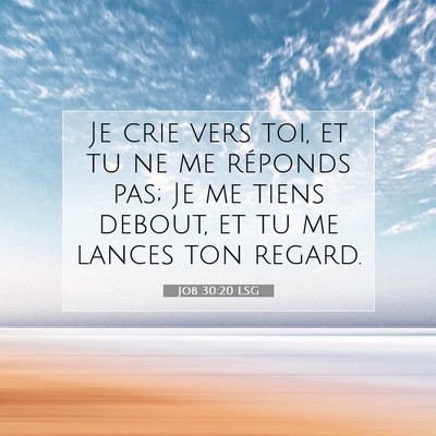 Job 30:20 LSG Image du verset biblique