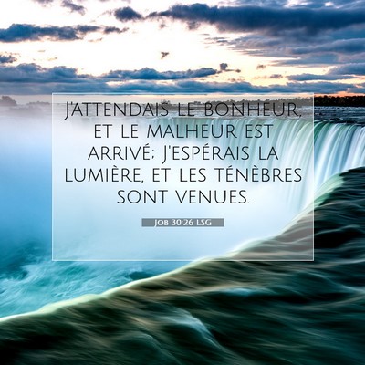 Job 30:26 Verset biblique expliqué