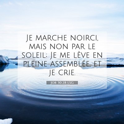 Job 30:28 LSG Image du verset biblique