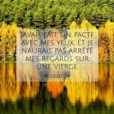 Job 31:1 LSG Image du verset biblique