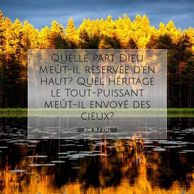 Job 31:2 LSG Image du verset biblique