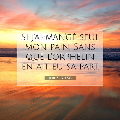 Job 31:17 Verset biblique expliqué