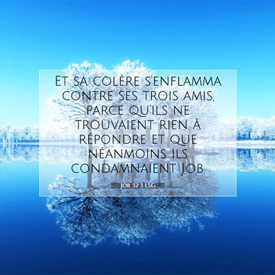 Job 32:3 LSG Image du verset biblique