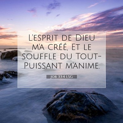 Job 33:4 LSG Image du verset biblique