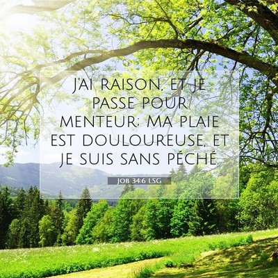 Job 34:6 Verset biblique expliqué