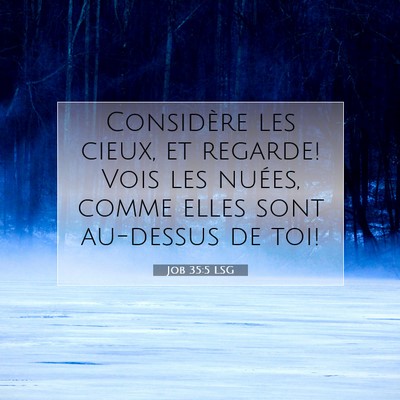 Job 35:5 LSG Image du verset biblique