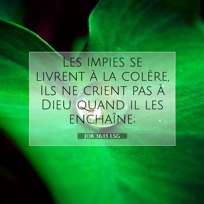 Job 36:13 Verset biblique expliqué